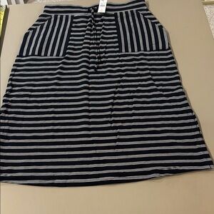 Talbots Blue and White Striped A-Line Skirt NWT Size SP